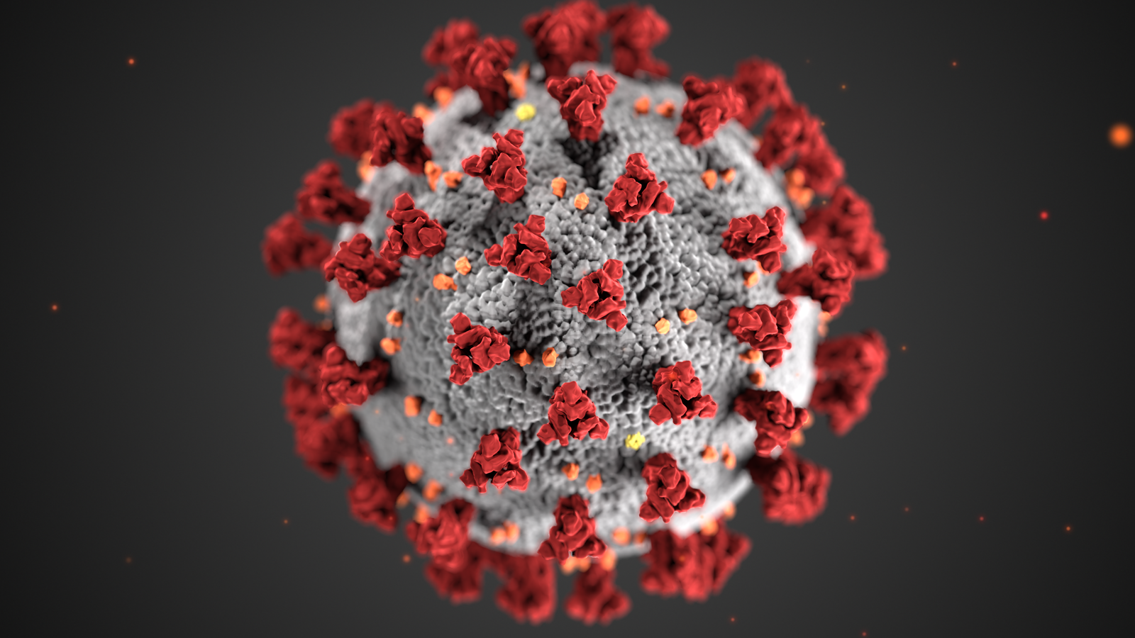corona virus up close