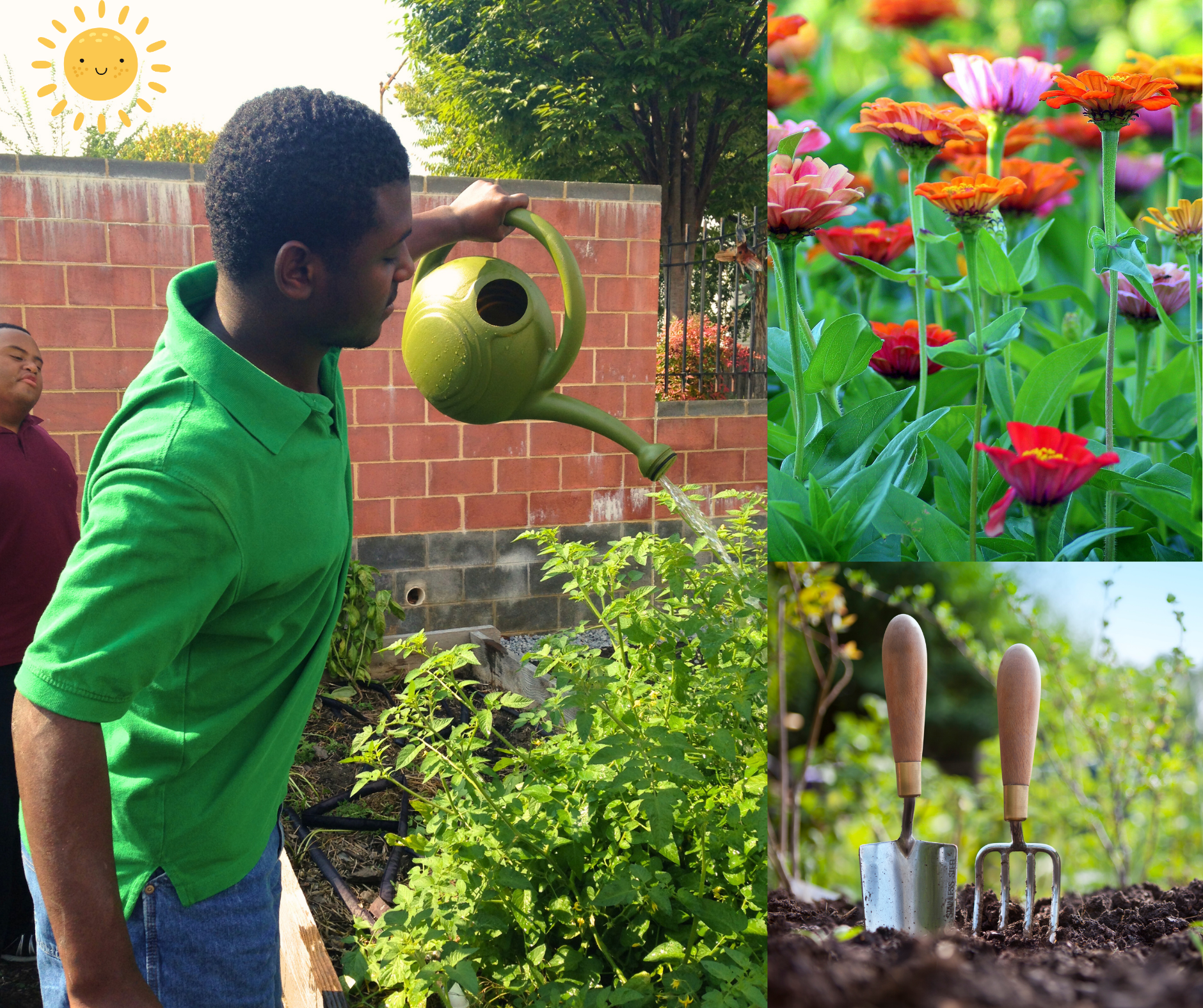 Student working in the garden collage